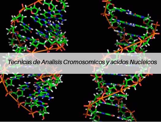 Curso de Tecnicas de Analisis Cromosomicos y acidos Nucleicos